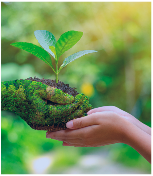What Earth Management Means
